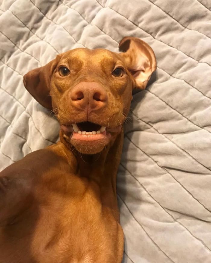 144663983_388991389270952_6914242053013520868_n